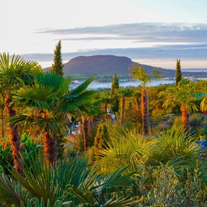 Vezetett kertlátogatás belépőjegy